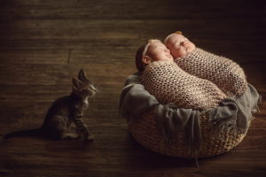 Newborn session by Daniela Sterea