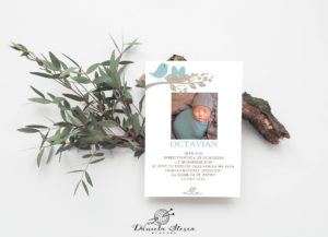 Invitatii botez_Daniela Sterea