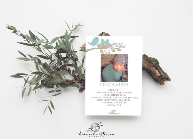 Invitatii botez_Daniela Sterea